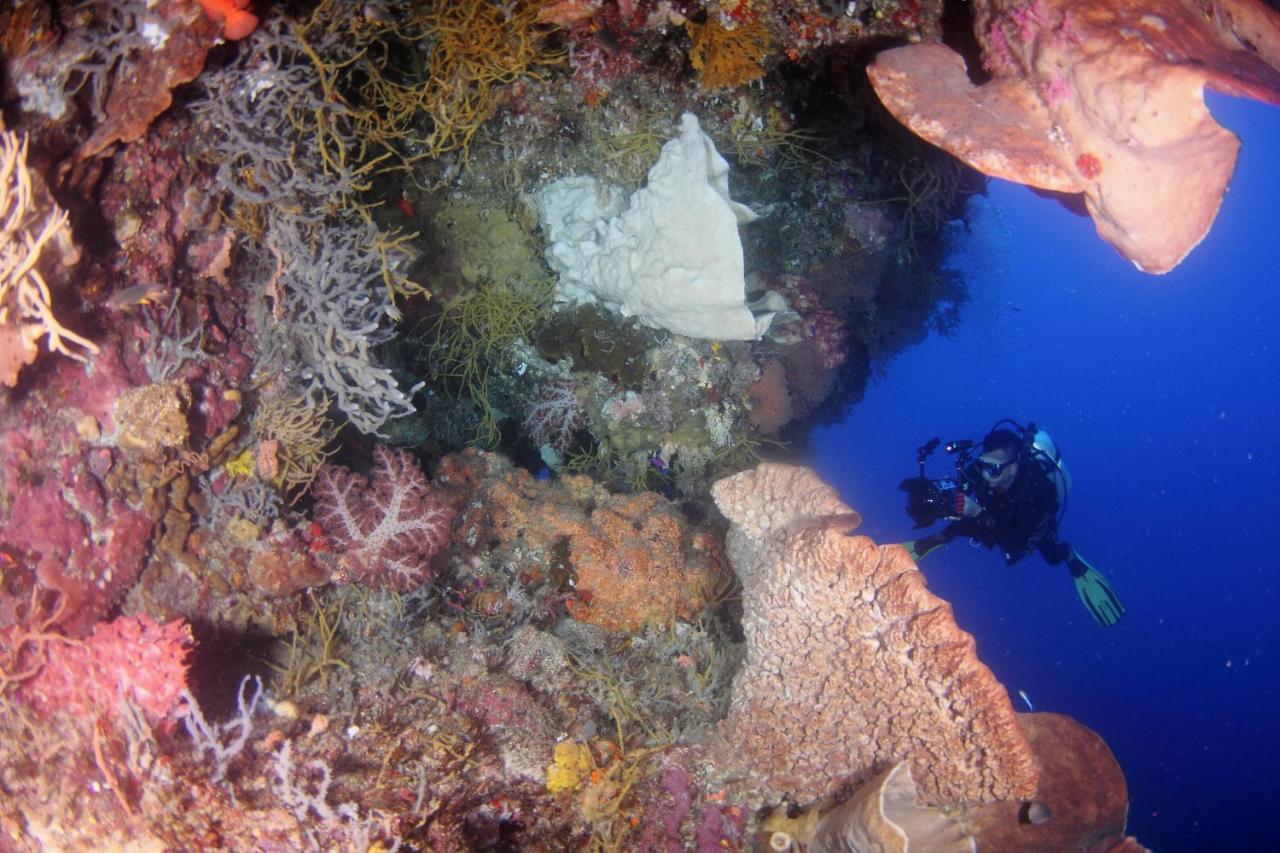 Araya Dive Resort Togean Bomba Exterior foto