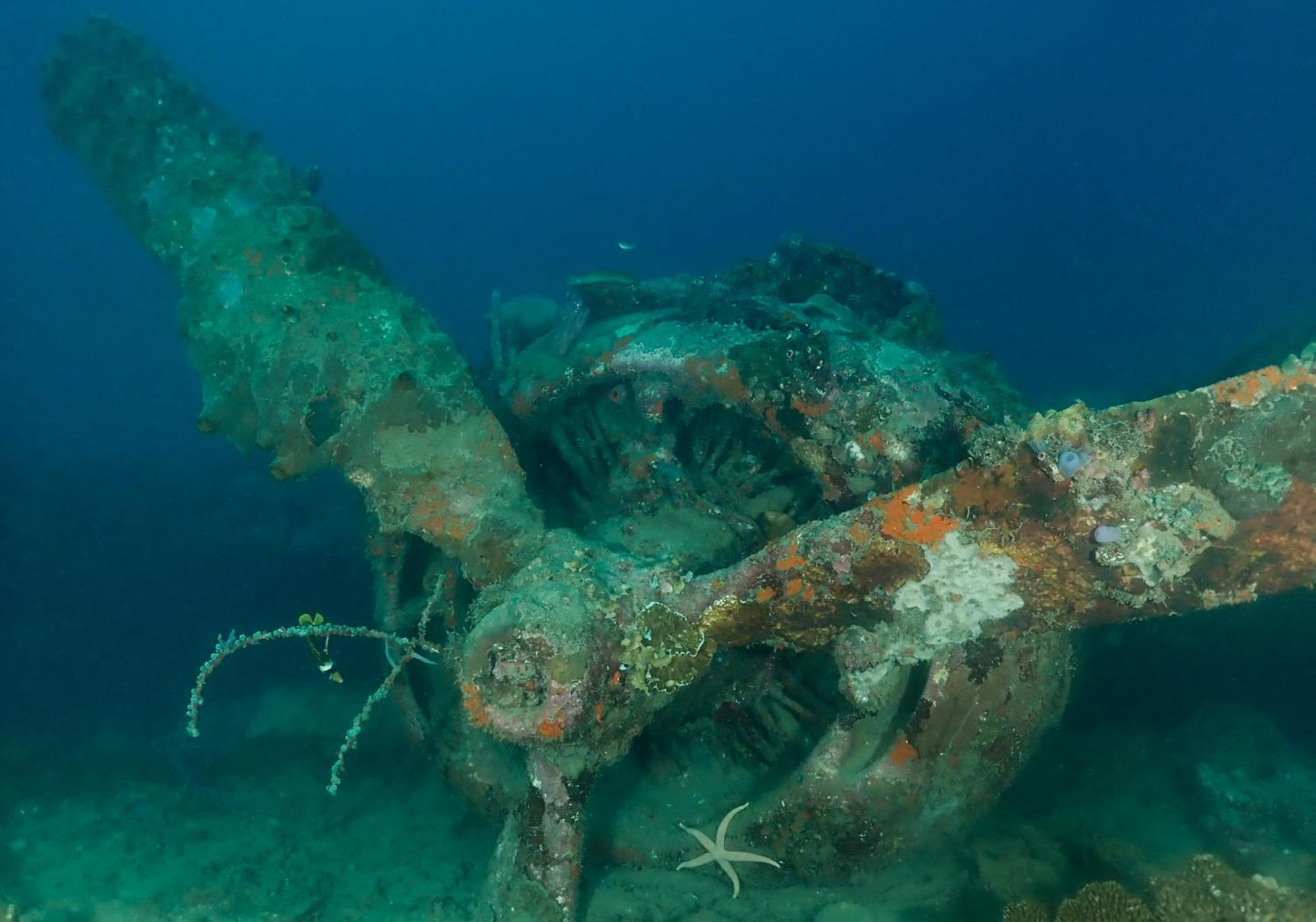 Araya Dive Resort Togean Bomba Exterior foto